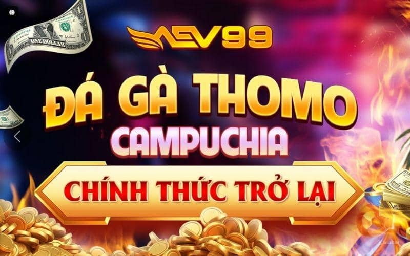 AEV99 trang cá cược trực tuyến uy tín số 1 Việt Nam